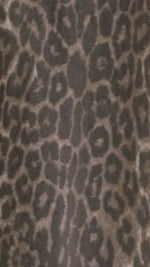 Vox Jacket - Leopard Print